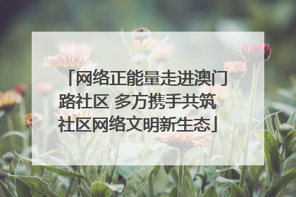 网络正能量走进澳门路社区 多方携手共筑社区网络文明新生态