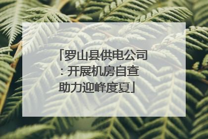 罗山县供电公司：开展机房自查 助力迎峰度夏