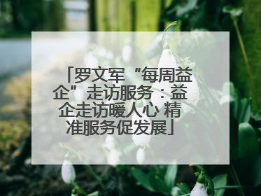 罗文军“每周益企”走访服务：益企走访暖人心 精准服务促发展