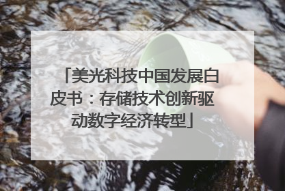 美光科技中国发展白皮书：存储技术创新驱动数字经济转型