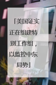 美国证实正在组建特别工作组，以监控中东局势