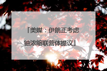 美媒：伊朗正考虑铀浓缩联营体提议