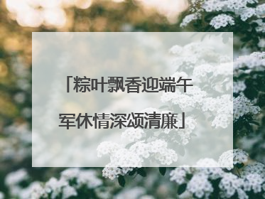 粽叶飘香迎端午 军休情深颂清廉