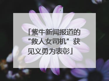 紫牛新闻报道的“救人女司机”获见义勇为表彰