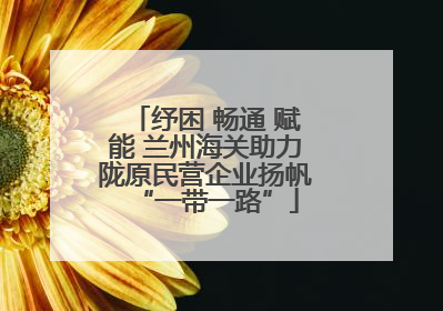 纾困 畅通 赋能 兰州海关助力陇原民营企业扬帆“一带一路”
