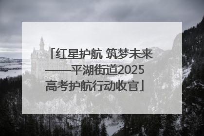 红星护航 筑梦未来——平湖街道2025高考护航行动收官