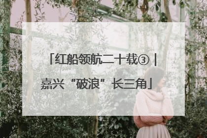红船领航二十载③｜嘉兴“破浪”长三角