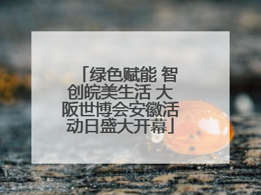 绿色赋能 智创皖美生活 大阪世博会安徽活动日盛大开幕