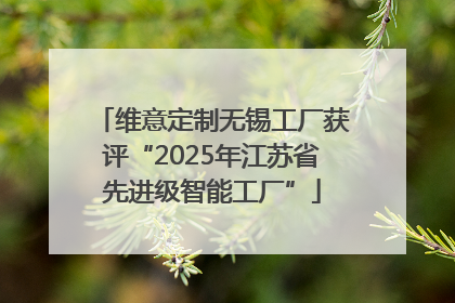维意定制无锡工厂获评“2025年江苏省先进级智能工厂”