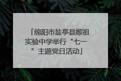 绵阳市盐亭县嫘祖实验中学举行“七一”主题党日活动