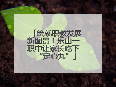 绘就职教发展新图景！乐山一职中让家长吃下“定心丸”
