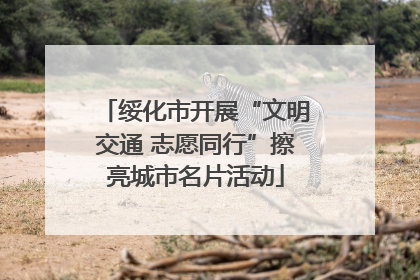 绥化市开展“文明交通 志愿同行”擦亮城市名片活动
