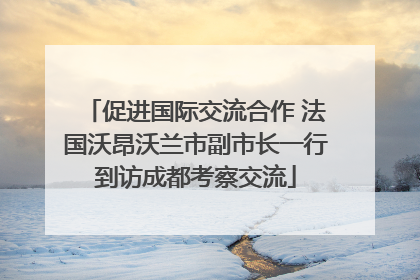 促进国际交流合作 法国沃昂沃兰市副市长一行到访成都考察交流