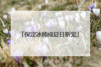 保定冰柿成夏日新宠