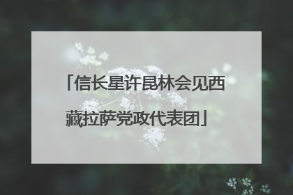 信长星许昆林会见西藏拉萨党政代表团