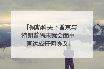 佩斯科夫：普京与特朗普尚未就会面事宜达成任何协议