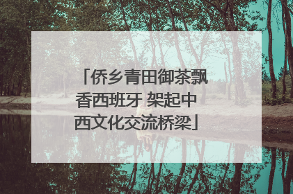 侨乡青田御茶飘香西班牙 架起中西文化交流桥梁