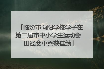 临汾市向阳学校学子在第二届市中小学生运动会田径赛中喜获佳绩