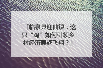 临泉县迎仙镇：这只“鸡”如何引领乡村经济展翅飞翔？