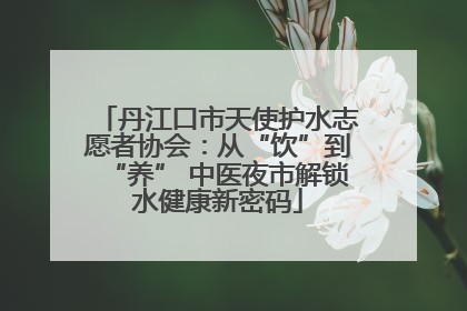 丹江口市天使护水志愿者协会：从“饮”到“养” 中医夜市解锁水健康新密码