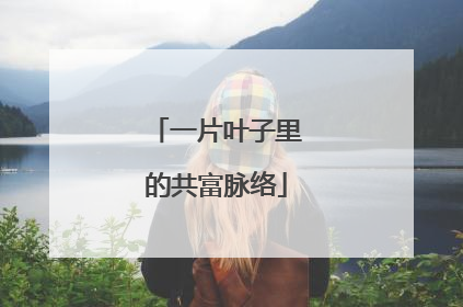 一片叶子里的共富脉络