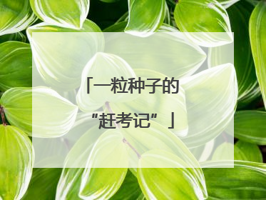 一粒种子的“赶考记”