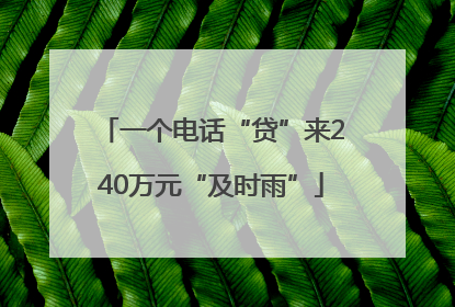 一个电话“贷”来240万元“及时雨”