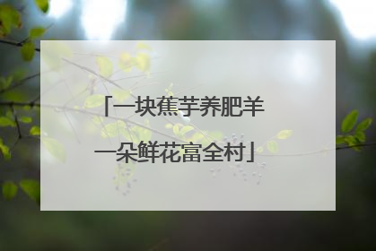 一块蕉芋养肥羊 一朵鲜花富全村