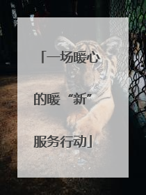 一场暖心的暖“新”服务行动