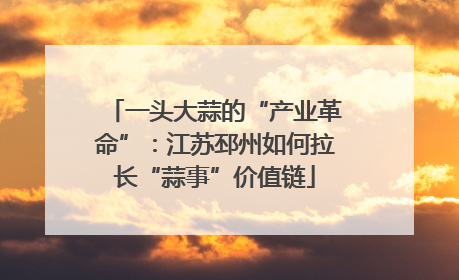 一头大蒜的“产业革命”：江苏邳州如何拉长“蒜事”价值链