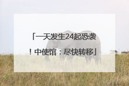 一天发生24起恐袭！中使馆：尽快转移