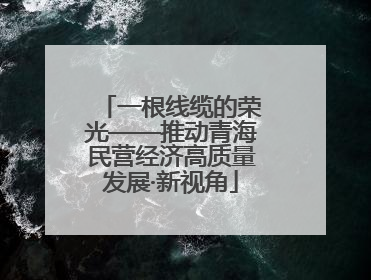 一根线缆的荣光——推动青海民营经济高质量发展·新视角