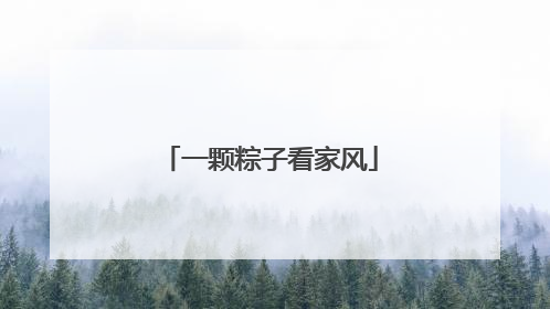 一颗粽子看家风