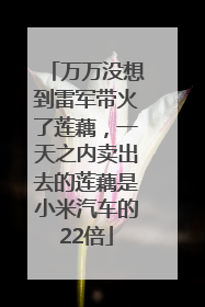 万万没想到雷军带火了莲藕，一天之内卖出去的莲藕是小米汽车的22倍