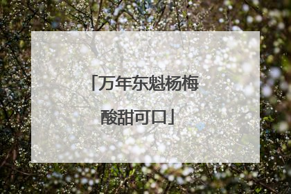 万年东魁杨梅 酸甜可口