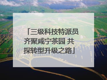 三级科技特派员齐聚咸宁茶园 共探转型升级之路