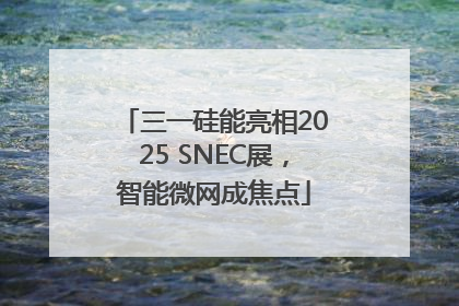 三一硅能亮相2025 SNEC展，智能微网成焦点