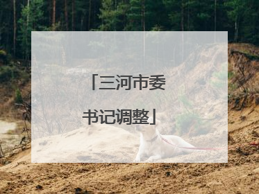 三河市委书记调整