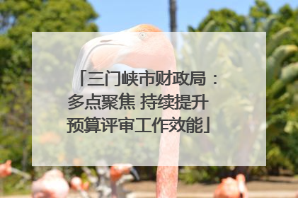 三门峡市财政局：多点聚焦 持续提升预算评审工作效能