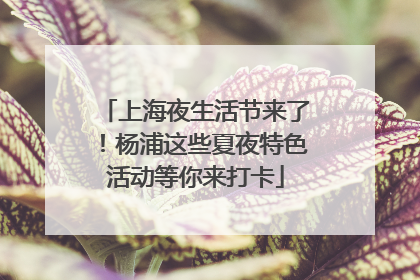 上海夜生活节来了！杨浦这些夏夜特色活动等你来打卡