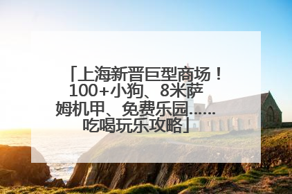 上海新晋巨型商场！100+小狗、8米萨姆机甲、免费乐园……吃喝玩乐攻略