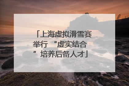 上海虚拟滑雪赛举行 “虚实结合”培养后备人才