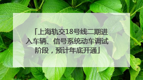 上海轨交18号线二期进入车辆、信号系统动车调试阶段，预计年底开通