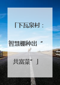 下瓦泉村：智慧棚种出“共富菜”