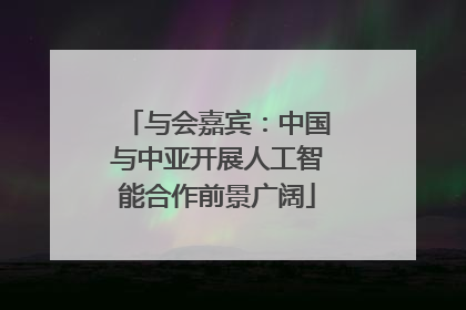 与会嘉宾：中国与中亚开展人工智能合作前景广阔