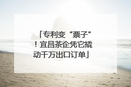 专利变“票子”！宜昌茶企凭它撬动千万出口订单