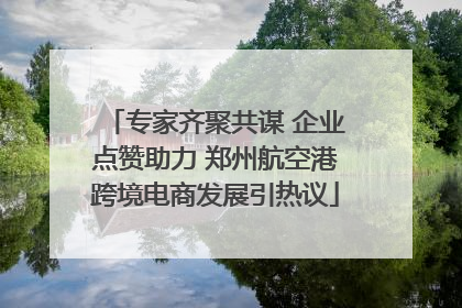 专家齐聚共谋 企业点赞助力 郑州航空港跨境电商发展引热议