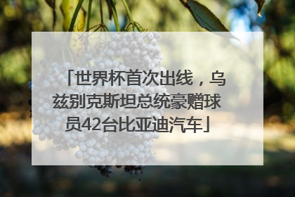 世界杯首次出线，乌兹别克斯坦总统豪赠球员42台比亚迪汽车