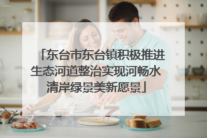 东台市东台镇积极推进生态河道整治实现河畅水清岸绿景美新愿景