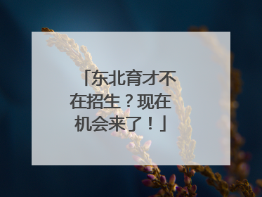 东北育才不在招生？现在机会来了！